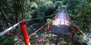 相俣の吊り橋1